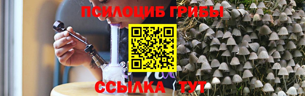 Псилоцибиновые грибы мицелий Советск