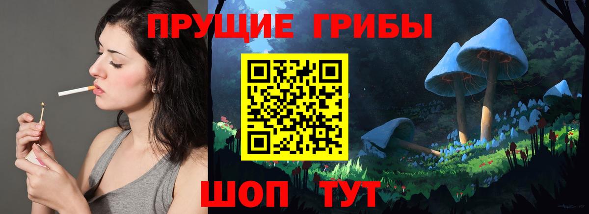 Советск  Галлюциногенные грибы GOLDEN TEACHER  Псилоцибиновые грибы GOLDEN TEACHER  Вход с VPN 